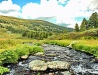 Mountain stream in the Kemerovo region