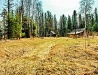 Autumn in Kemerovo Oblast