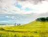 Khakassia nature