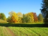 Golden autumn in the Kirov region
