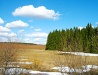 Cold taiga landscape in Kirov Oblast