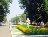 Maykop is a green city