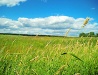 Nature of Mordovia