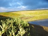 Murmansk Oblast landscape