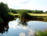Classical nature of central Russia