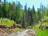 Sverdlovsk Oblast nature