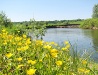 The Tambov region nature