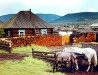 Country life in Tuva