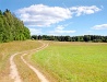 Field road in the Tver region